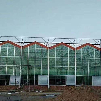Agriculture Multi-span glass greenhouse with Hydroponic Growing Systems