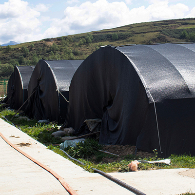 Black and white film greenhouse mushroom cultivation