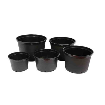 Cheap Gallon Garden Indoor Pot Plastic Plant Flower Pots