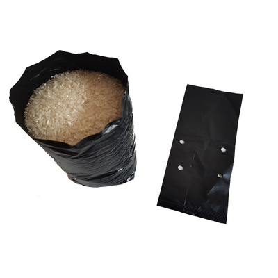 Black PE seedling bag