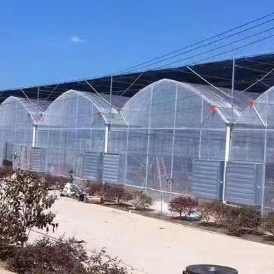 Film multi-span greenhouse polycarbonate greenhouse