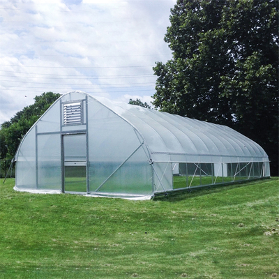 Anti-seasonal planting Film Greenhouse