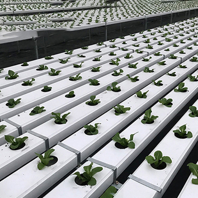 Greenhouse nft microgreen nft channel pvc hydroponie nft