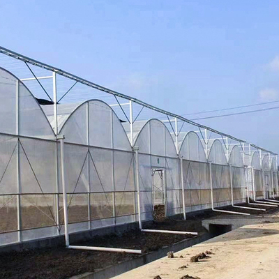 skeleton round arched greenhouse film multi-span greenhouse for planting hydroponic system