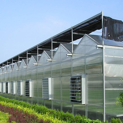 Multi-span intelligent ecological glass greenhouse Flower and vegetable farming greenhouse