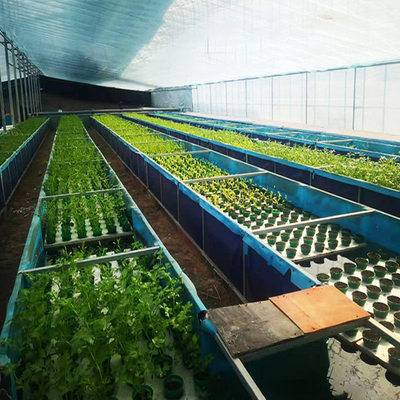 aquaponic-system aquaponic equipment aquaponics system for fish and vegetable