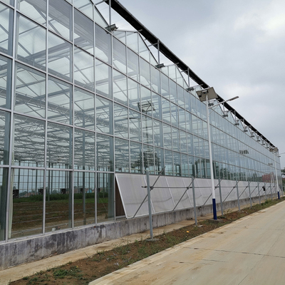 Multi-span intelligent glass greenhouse
