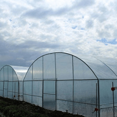 Single-span film greenhouse hydroponic system greenhouse warming plastic house