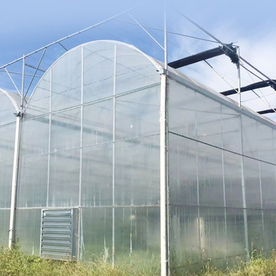 Multi-span film greenhouse Planting Galvanized steel Frame PE Film greenhouse for Agriculture