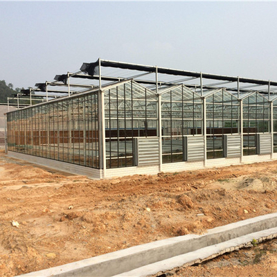 vegetables flowers PC board greenhouse