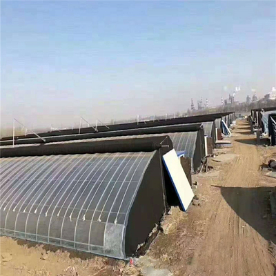 Winter Warm Vegetable Greenhouse