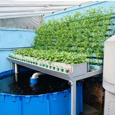 Industrial Fish Farm Aquaculture aquaponics hydroponic tower aquaponics fish farm