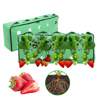10 holes garden planting grow pot wall planters strawberry hanging felt grow bag