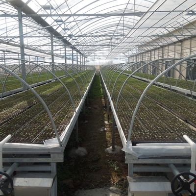 Nursery seedbed hydroponic table 4x8 Flood Rolling Bench Ebb And Flow Table